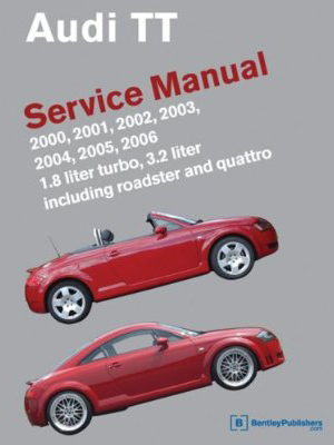 audittservicemanual